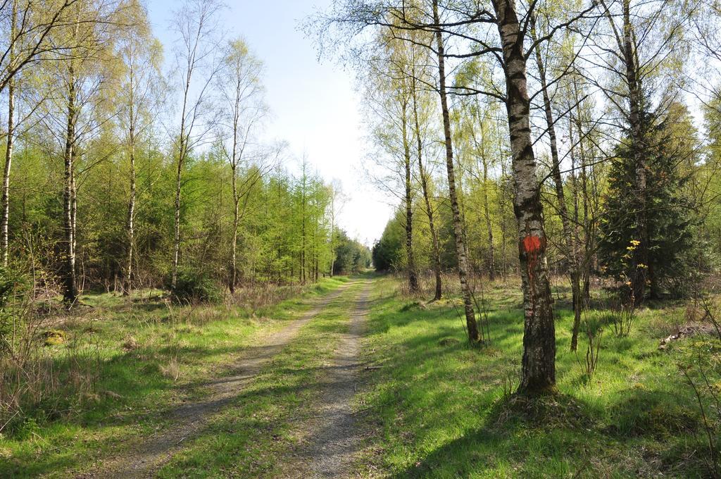 Stf Vandrarhem Blentarp Rom bilde